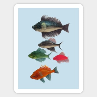 Fishes Sticker